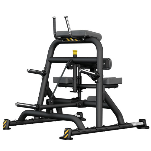 BH PL170B Leg Curl